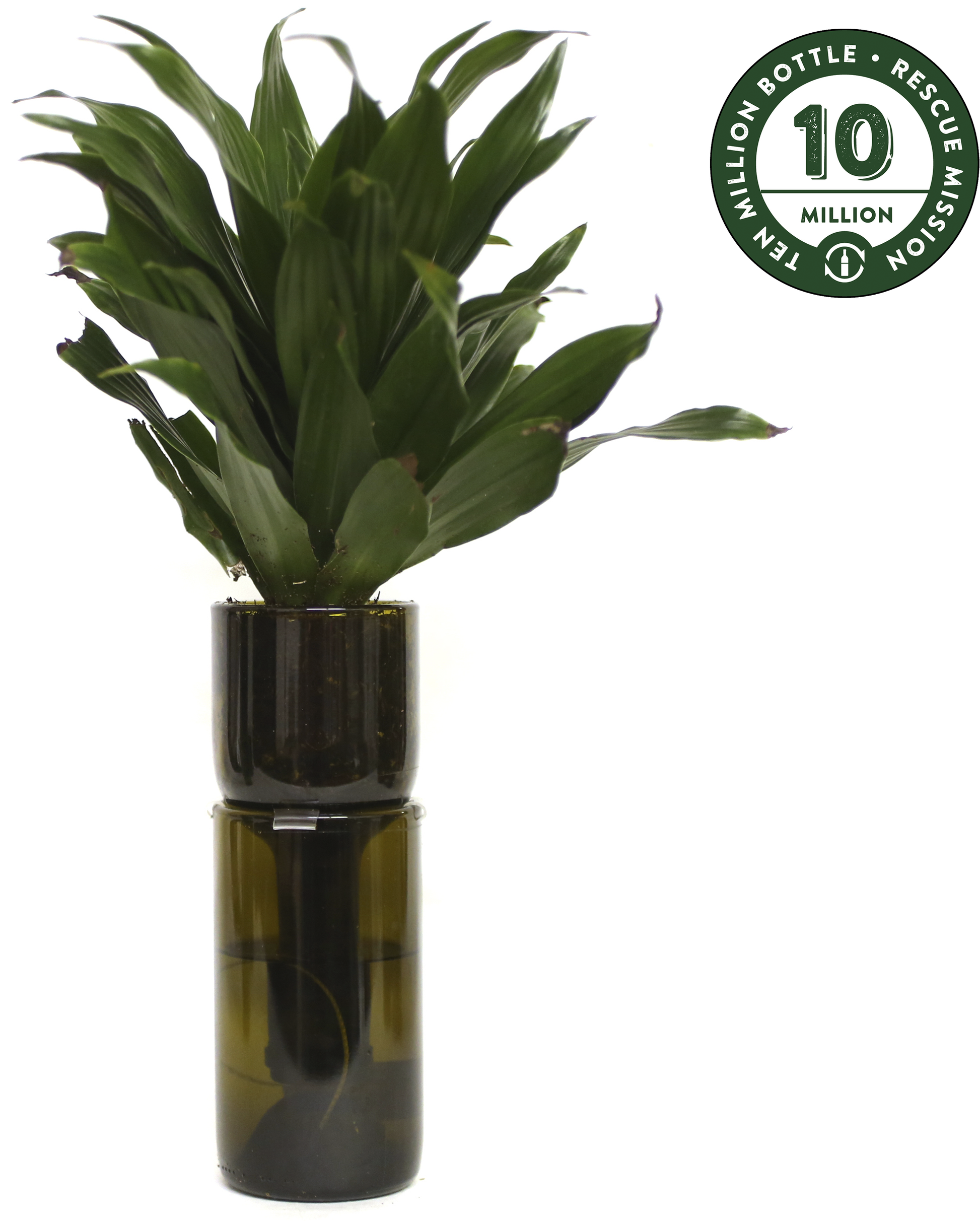 self watering planter kit Gardner : Self Watering Planter Kit in Amber – refreshglasspromo